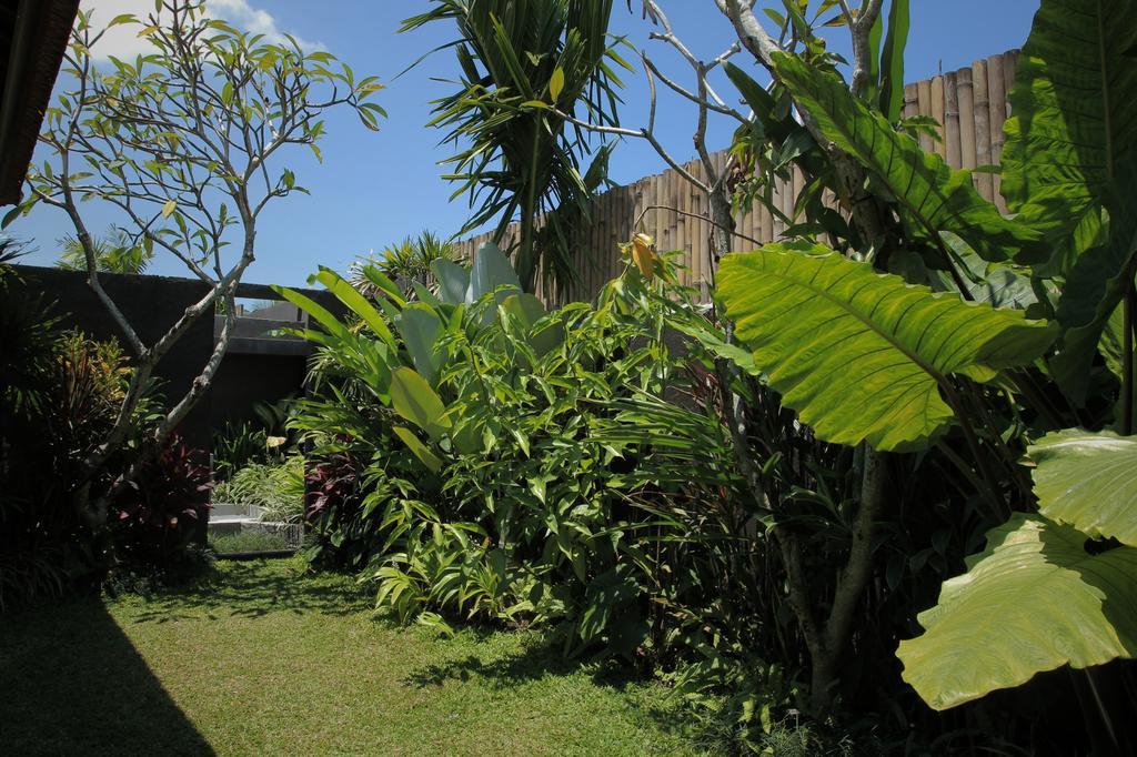 Dugul Ubud Kamer foto