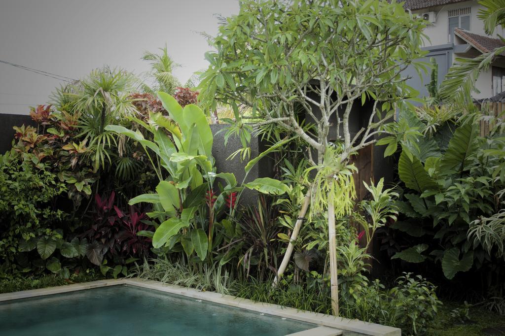 Dugul Ubud Kamer foto