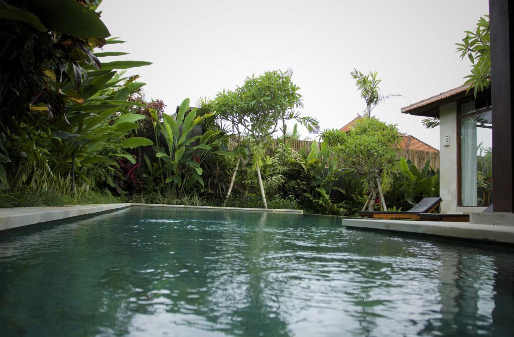 Dugul Ubud Kamer foto