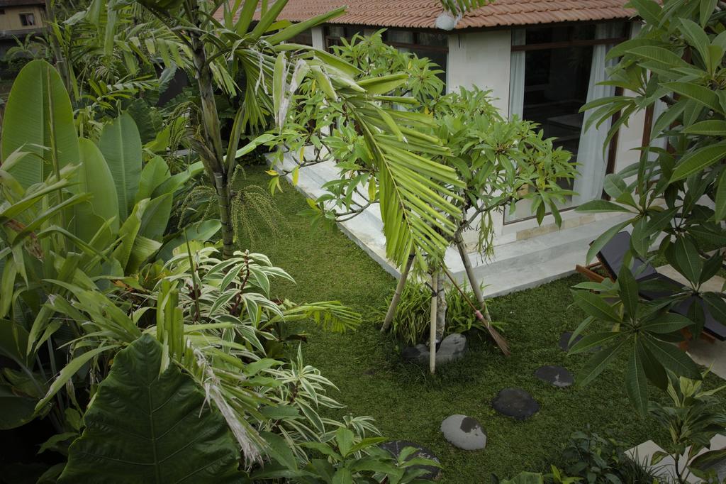 Dugul Ubud Kamer foto